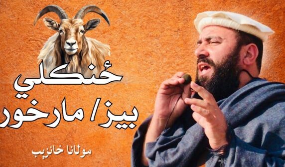 Markhor