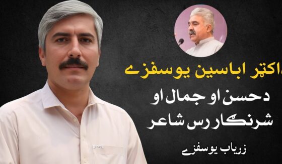 dr-abaseen-yousafzai-a-poet-of-beauty-grace-and-adornment